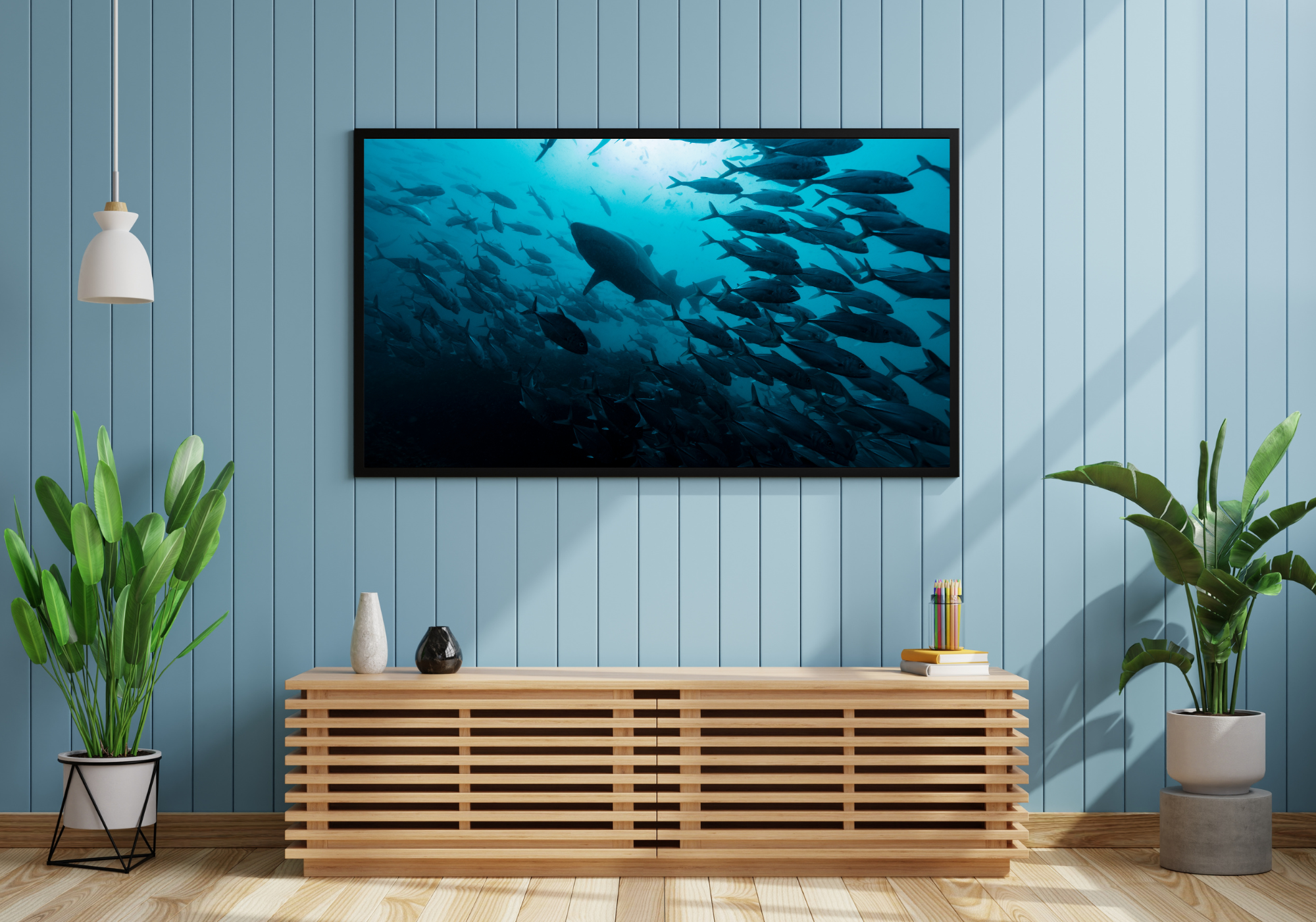 large shark swims above through school of silver fish