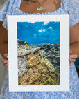 Photo Mount - 'Coral Forest'