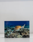 Acrylic Photo Block - 'Glider'