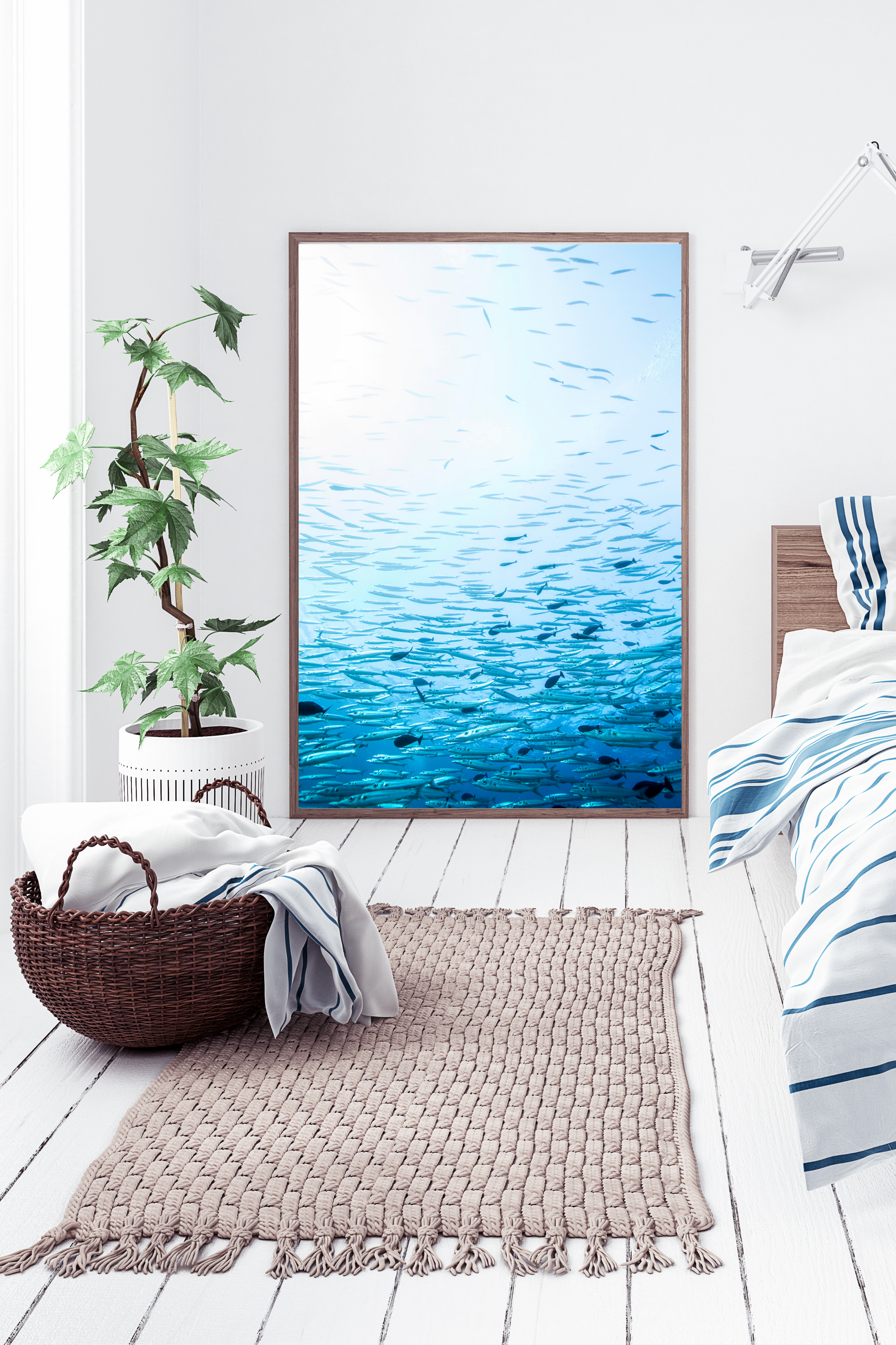 below up to the surface of bright sunlight with a school of barracuda fish