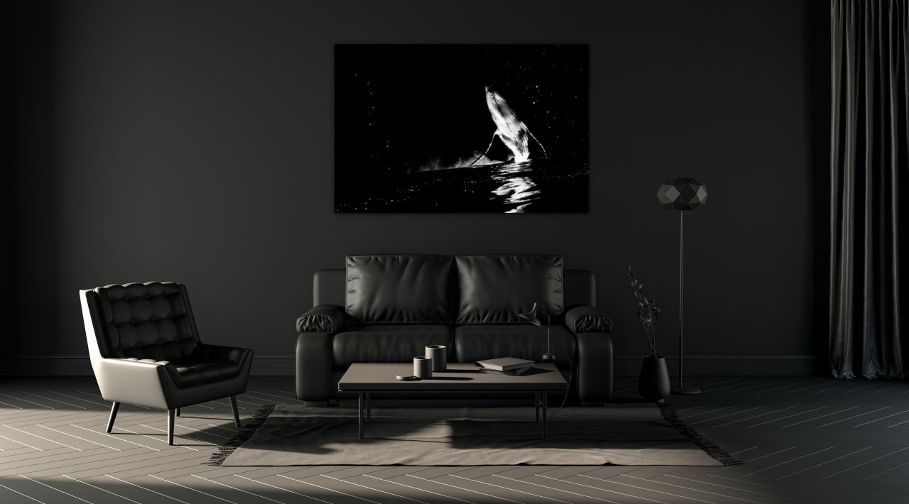 Stargazer - Black and White Humpback Whale Print