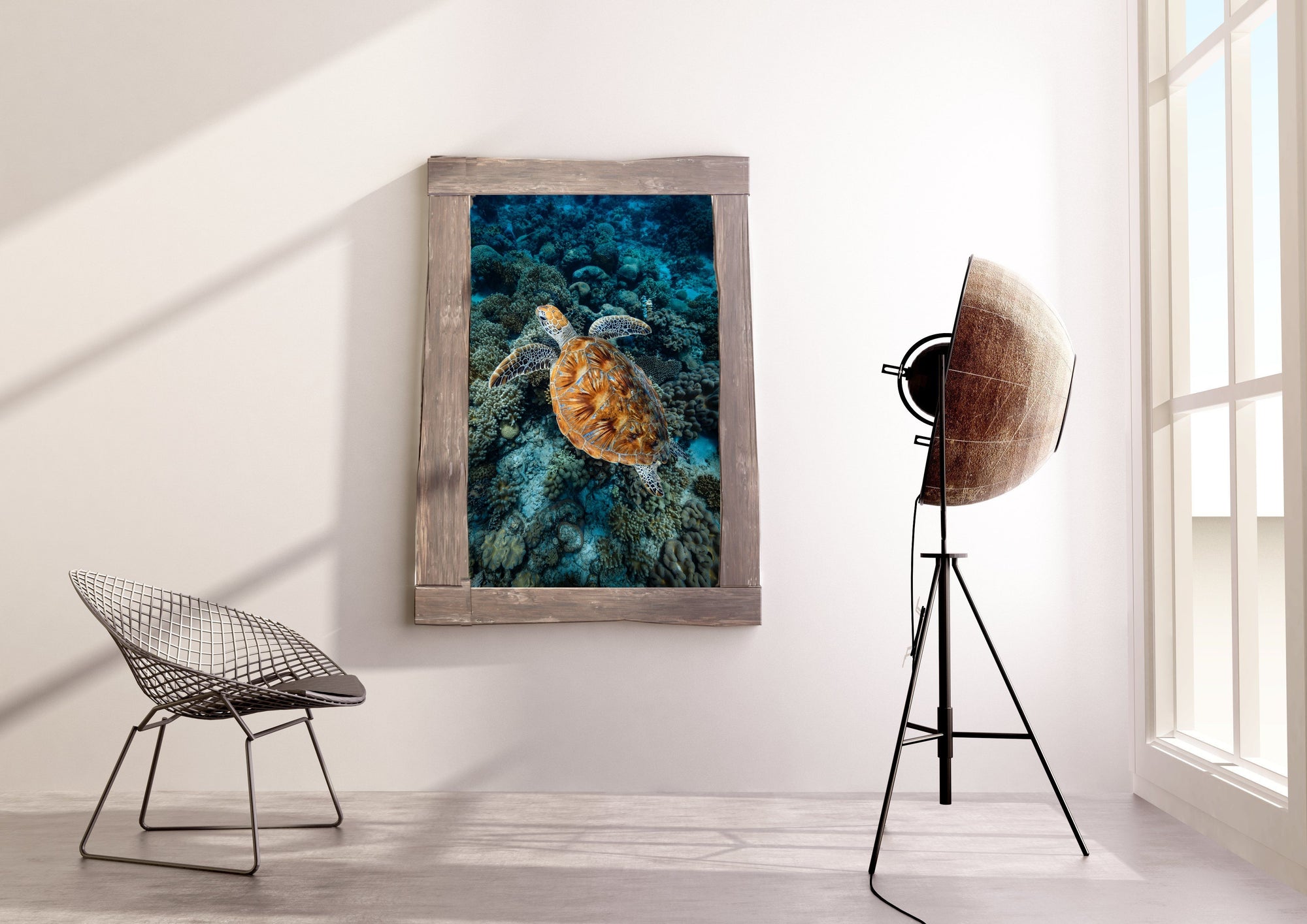 sea turtle with splashes of vibrant blue colour on his shell gliding across a bed of reef