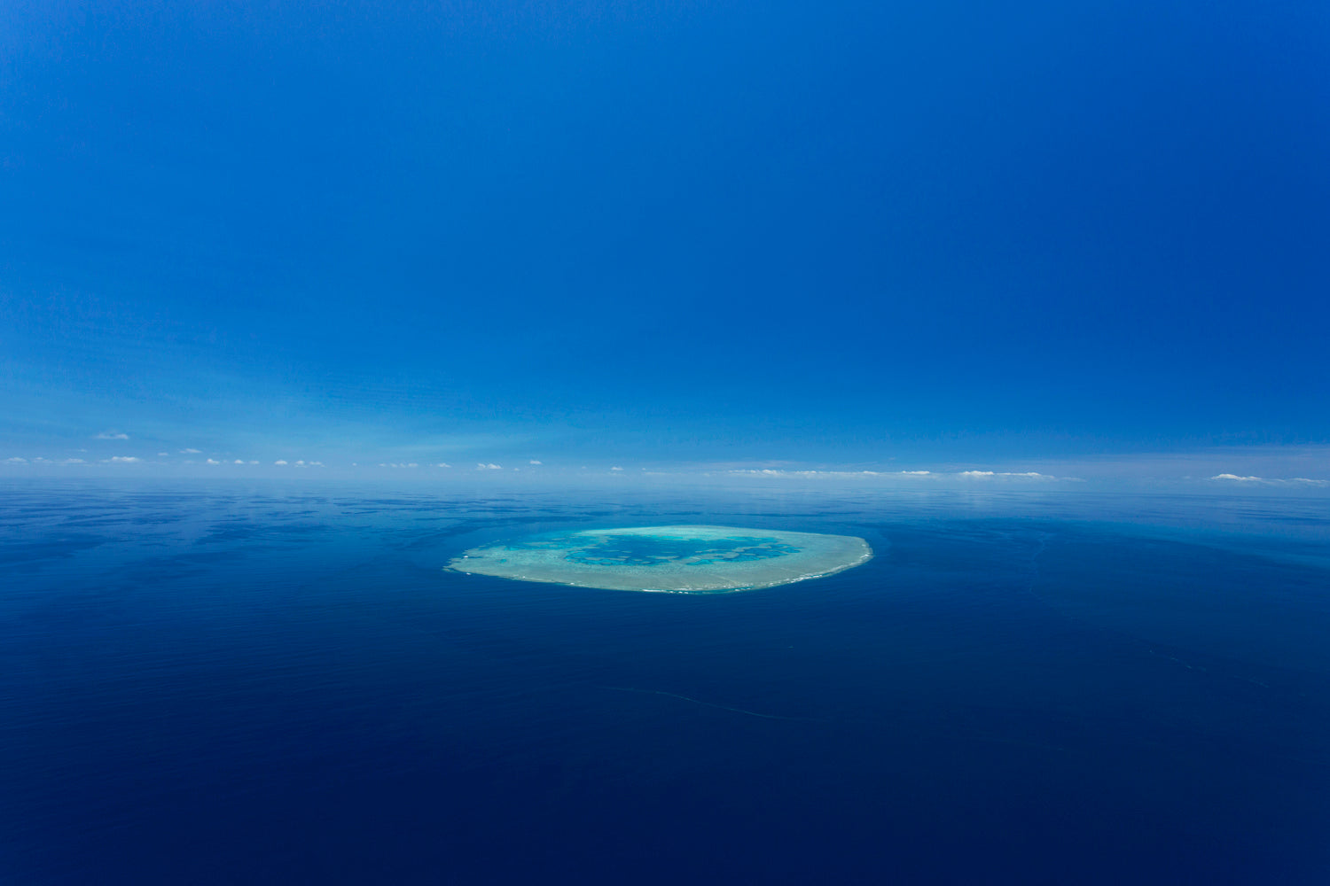 Photo Mount - 'The Bait'