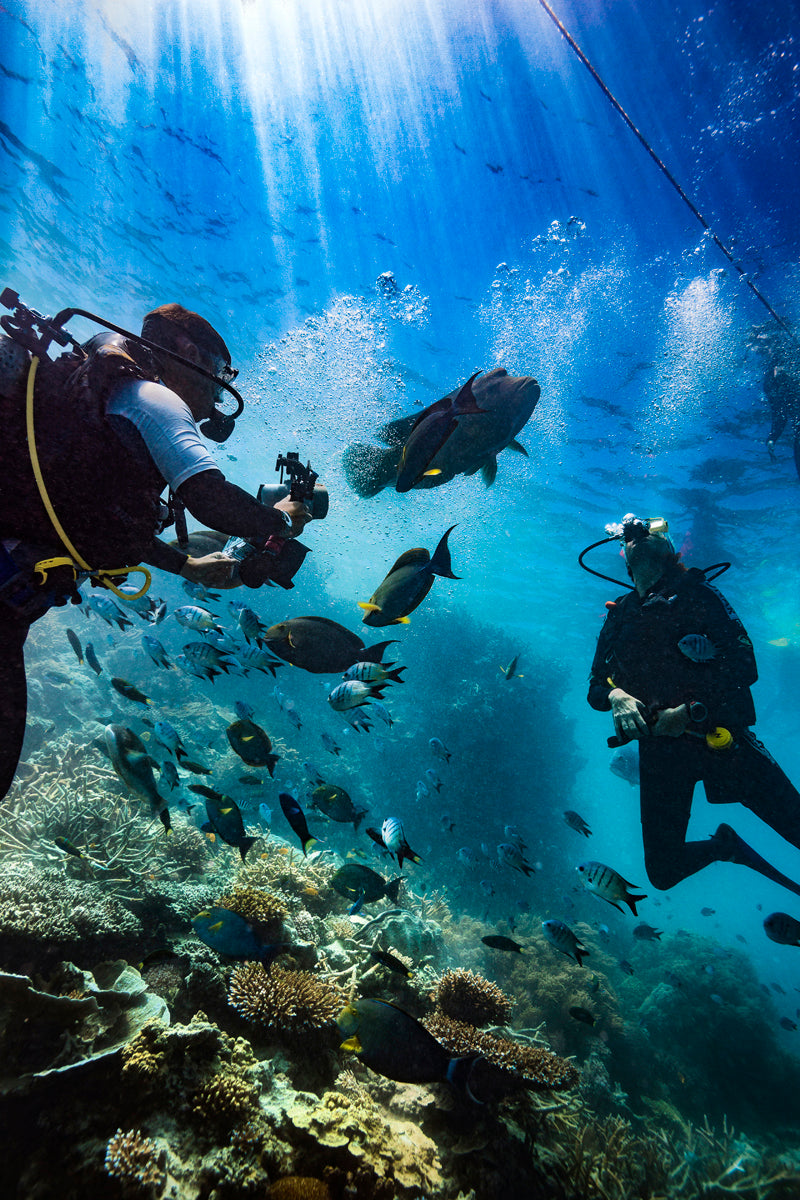 The Catwalk - Underwater Reef Print