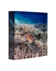 Acrylic Photo Block - 'Crush'