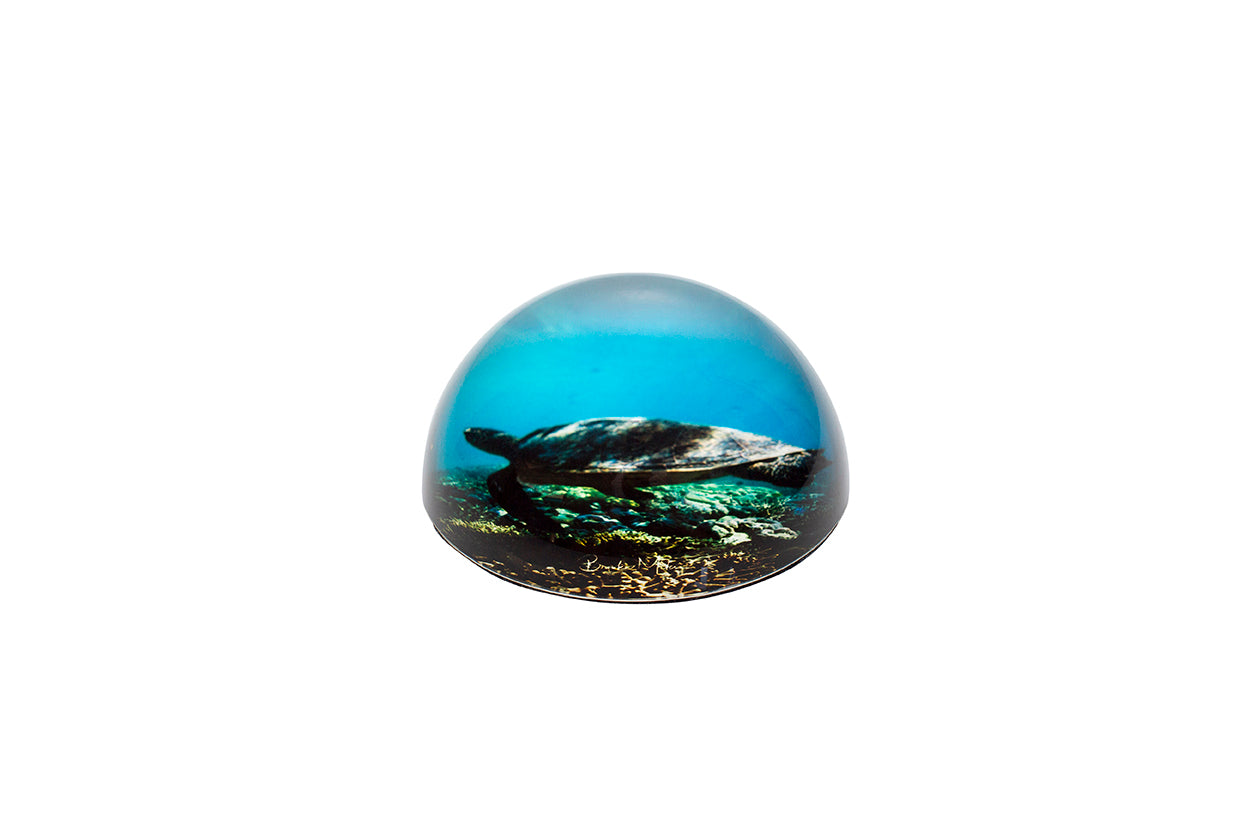 Glass Dome Cruisin image