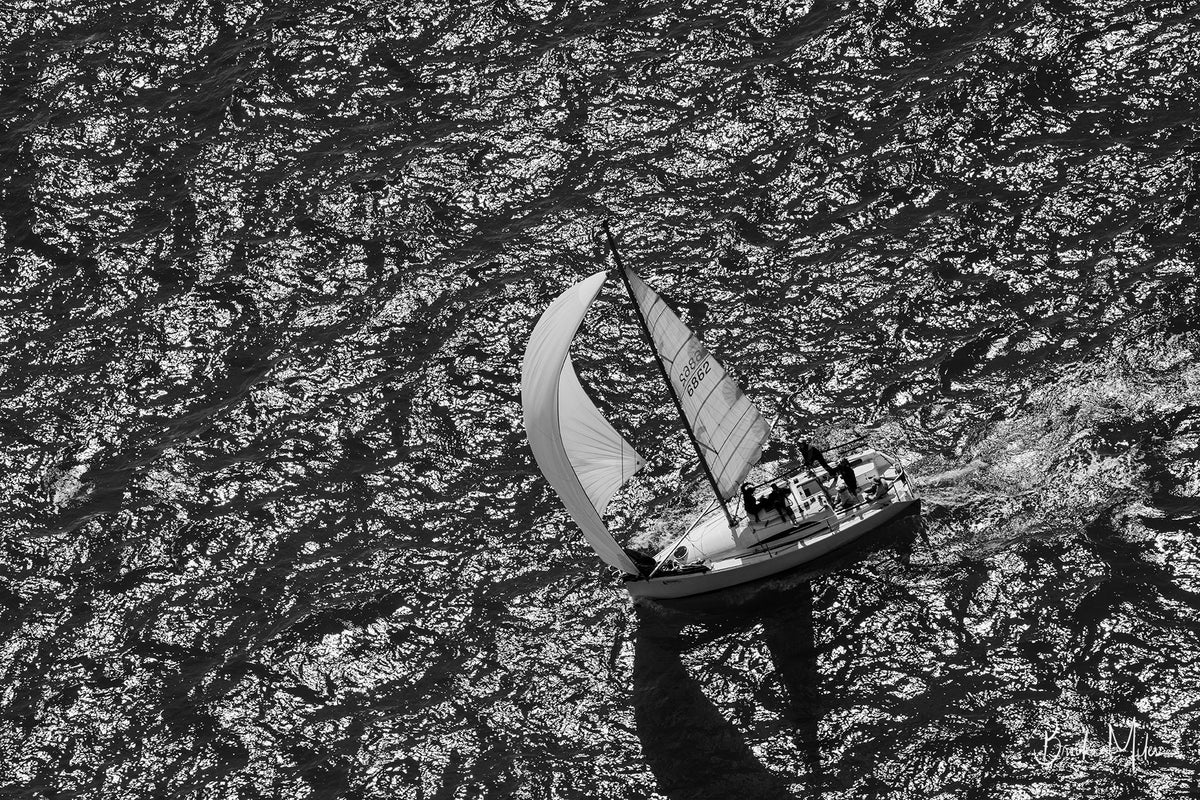 Collage of Black and White Racing Yacht Photographic Prints