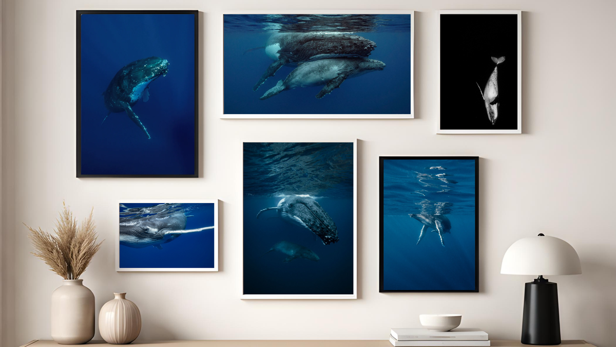 whale artwork coastal wall art Australia living room styling