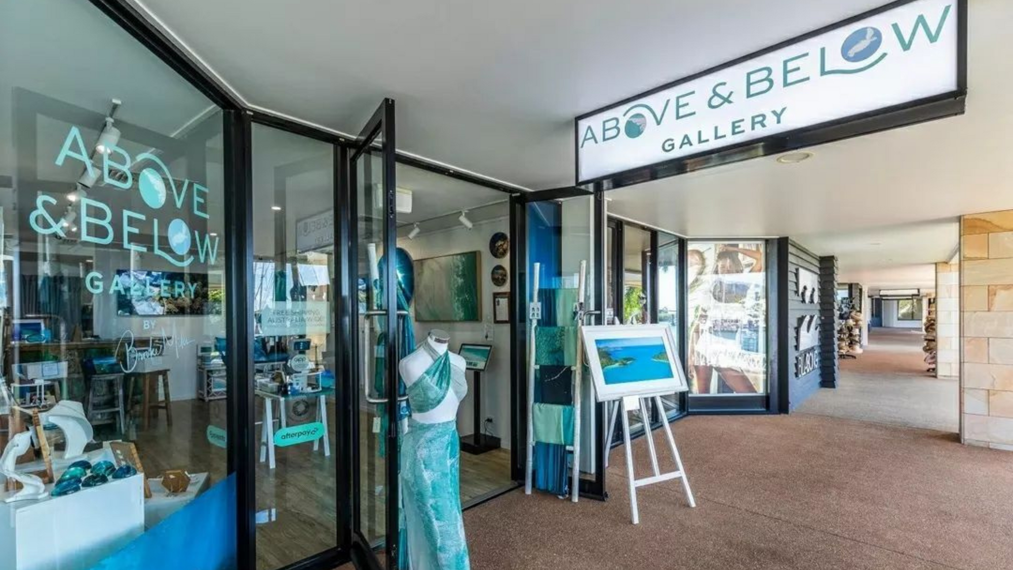 Introducing the NEW Above and Below Gallery!
