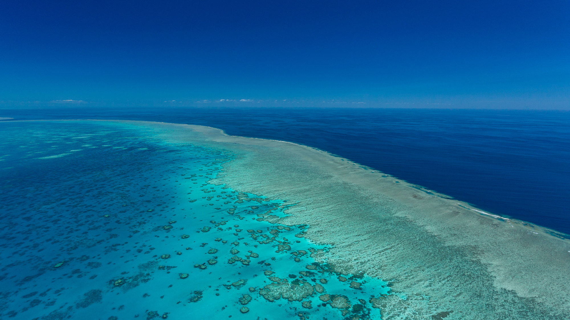 5 Reasons Why The Great Barrier Should Be On Your Bucket List!