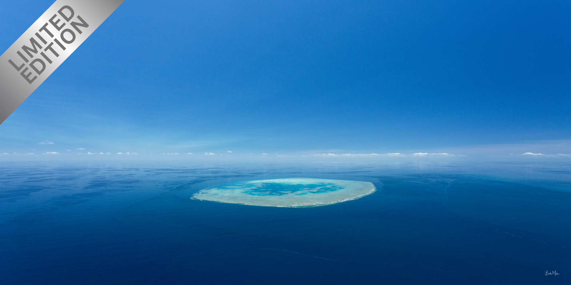 mum and bub large grey humpback whales resting on surface of blue water