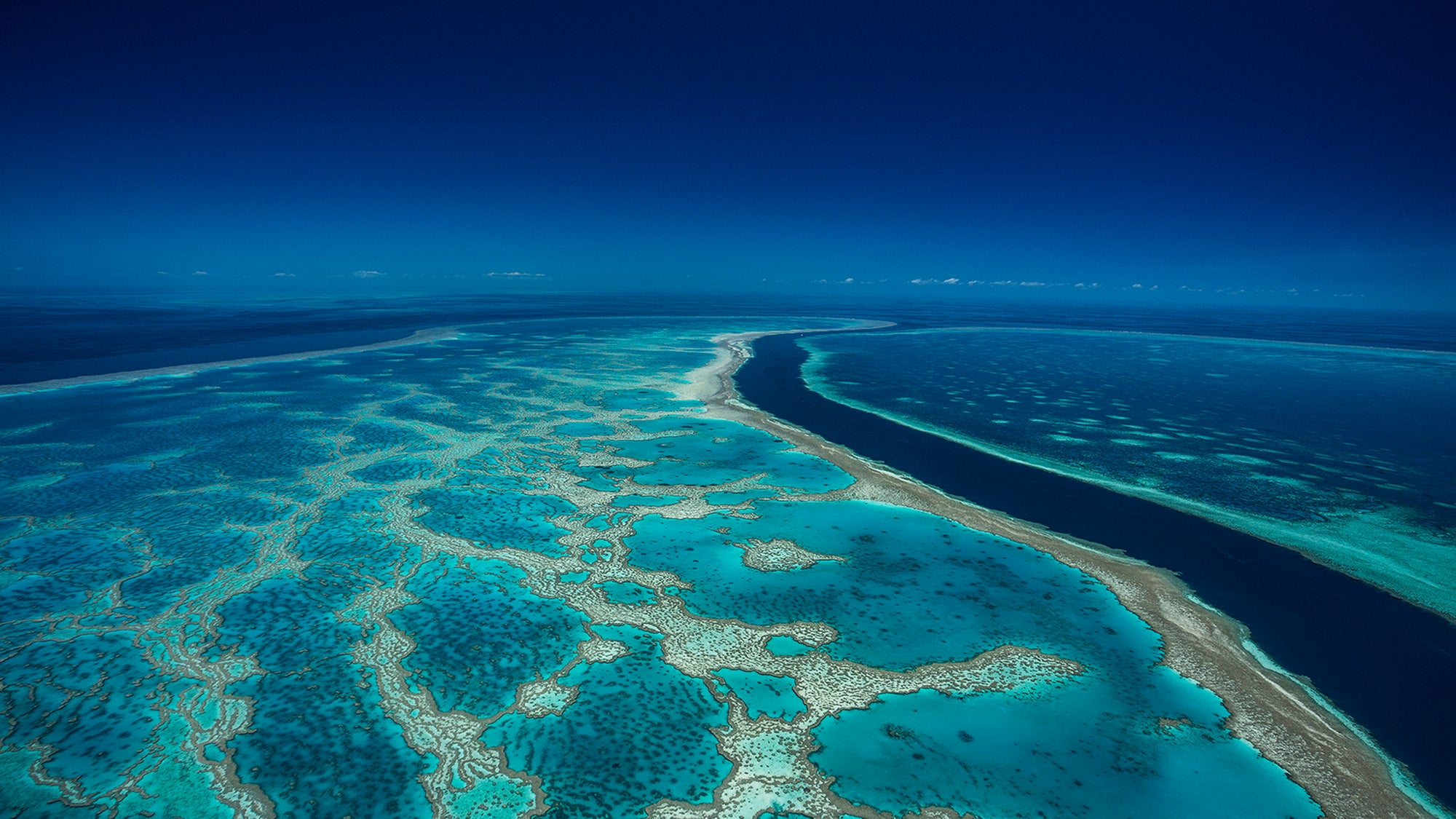 - The Great Barrier Reef -