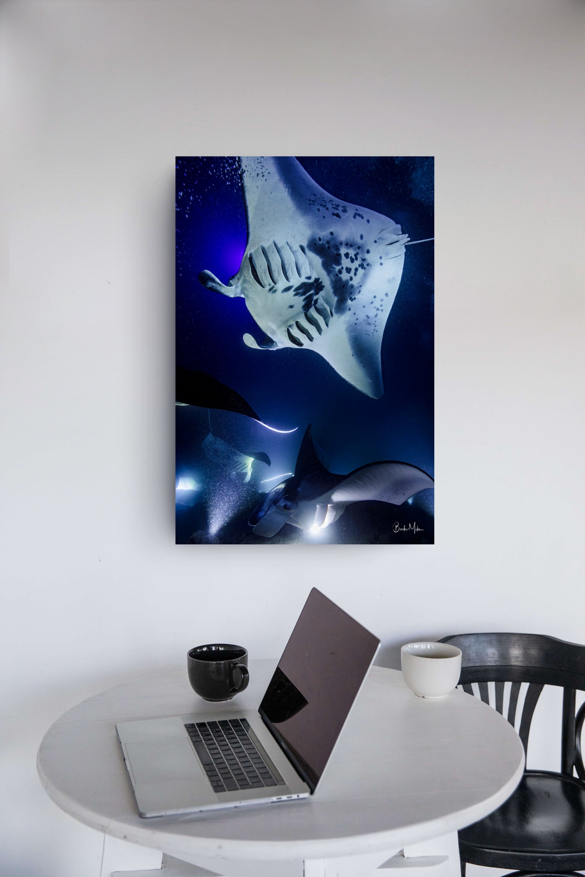 Gathering | Manta Ray Wall Art – Kona Hawai'i