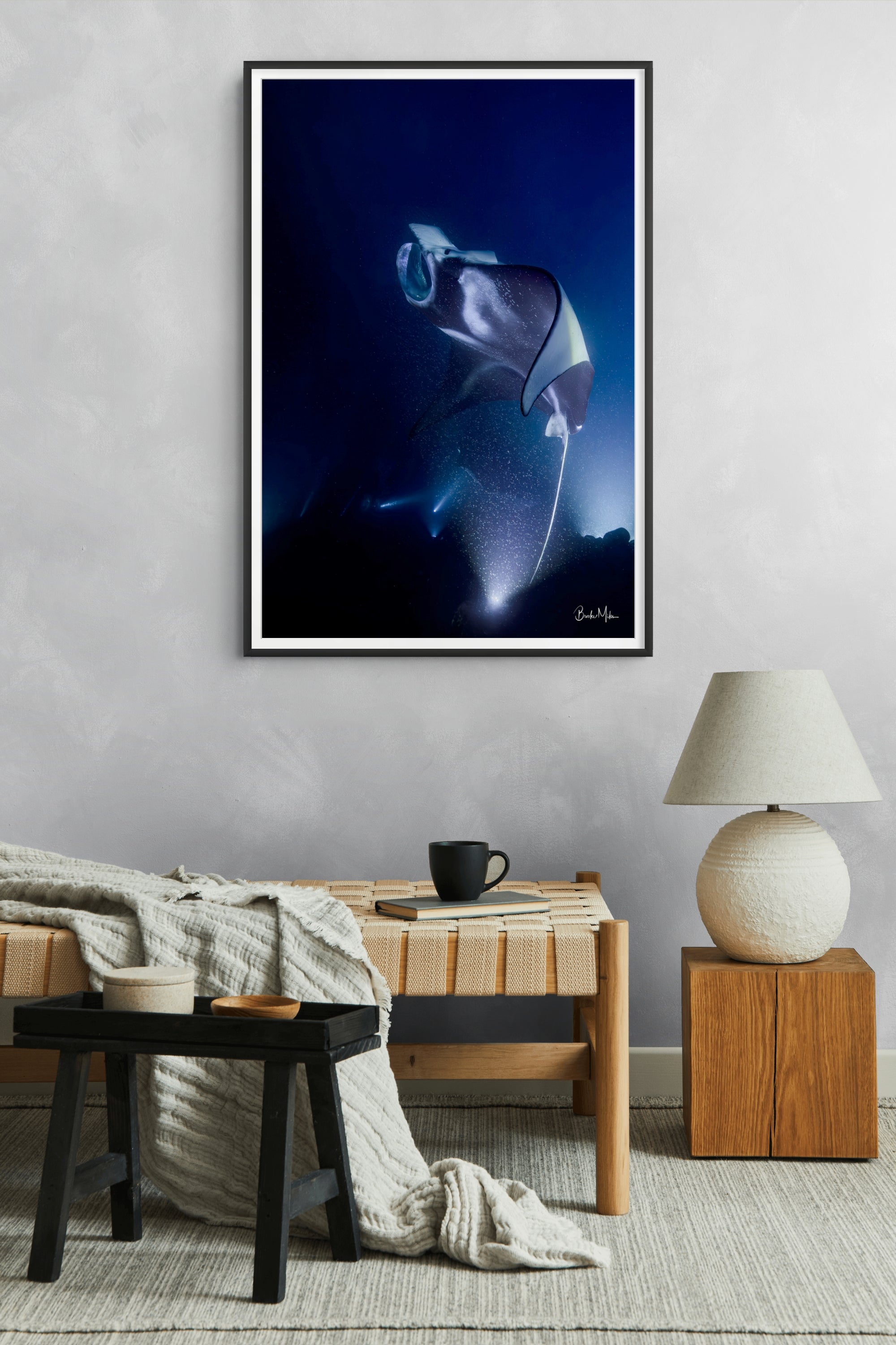 Rhapsody | Manta Ray Wall Art – Kona Hawaii