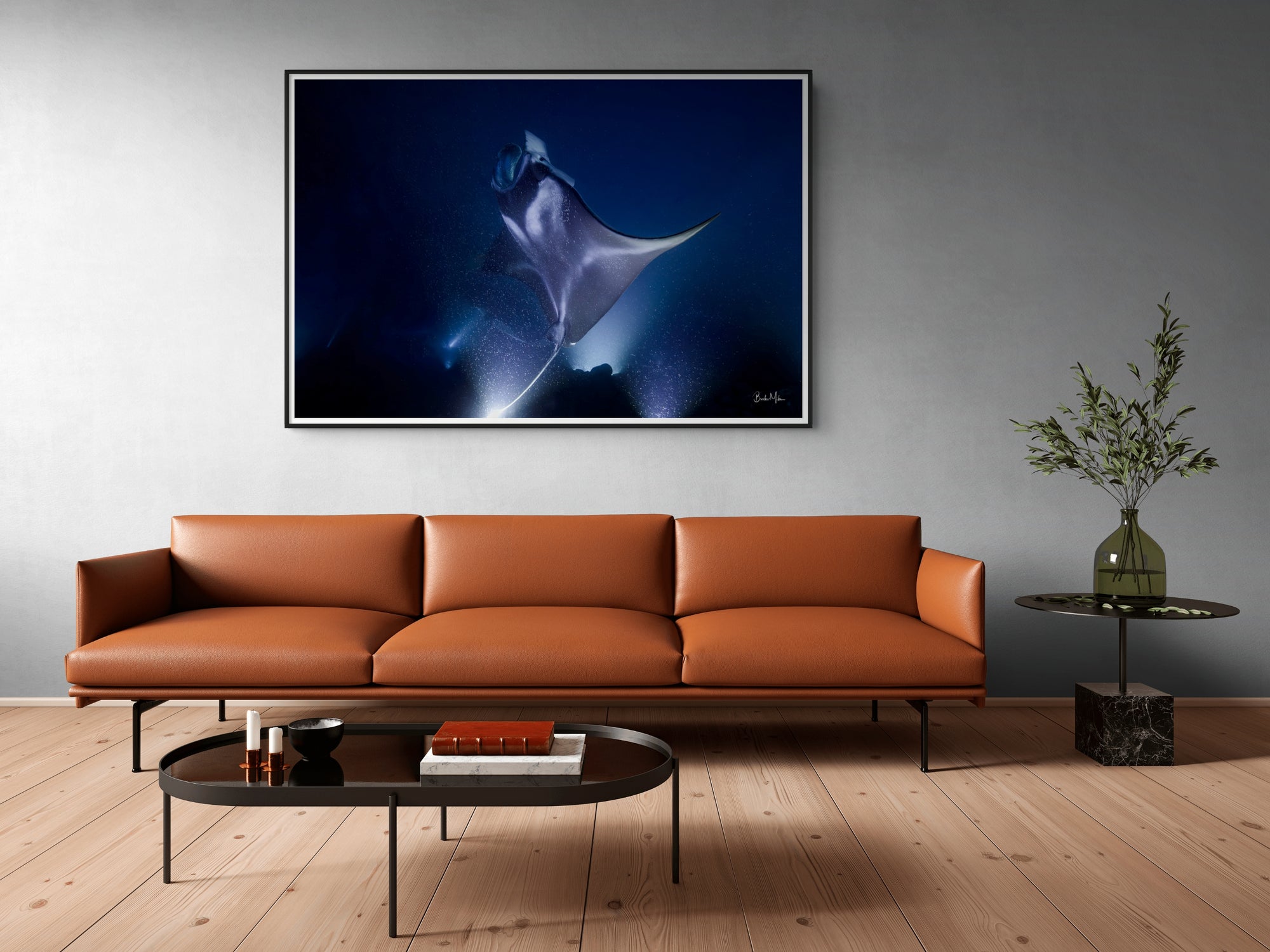 Hahalua | Manta Ray Wall Art – Kona Hawaii