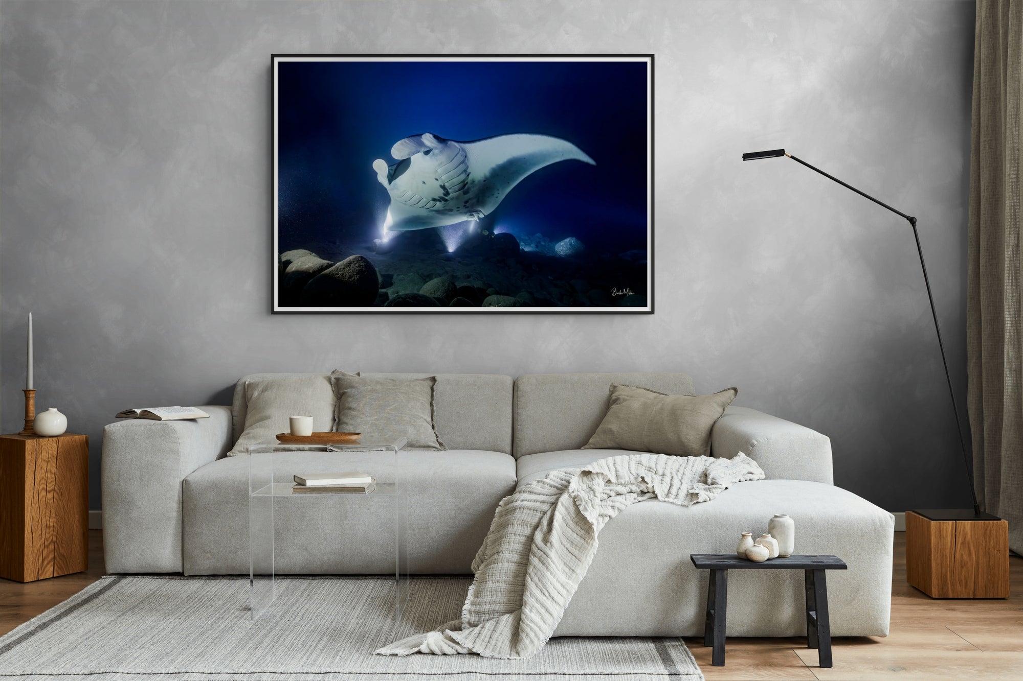 Big Kona | Manta Ray Wall Art – Kona Hawaii