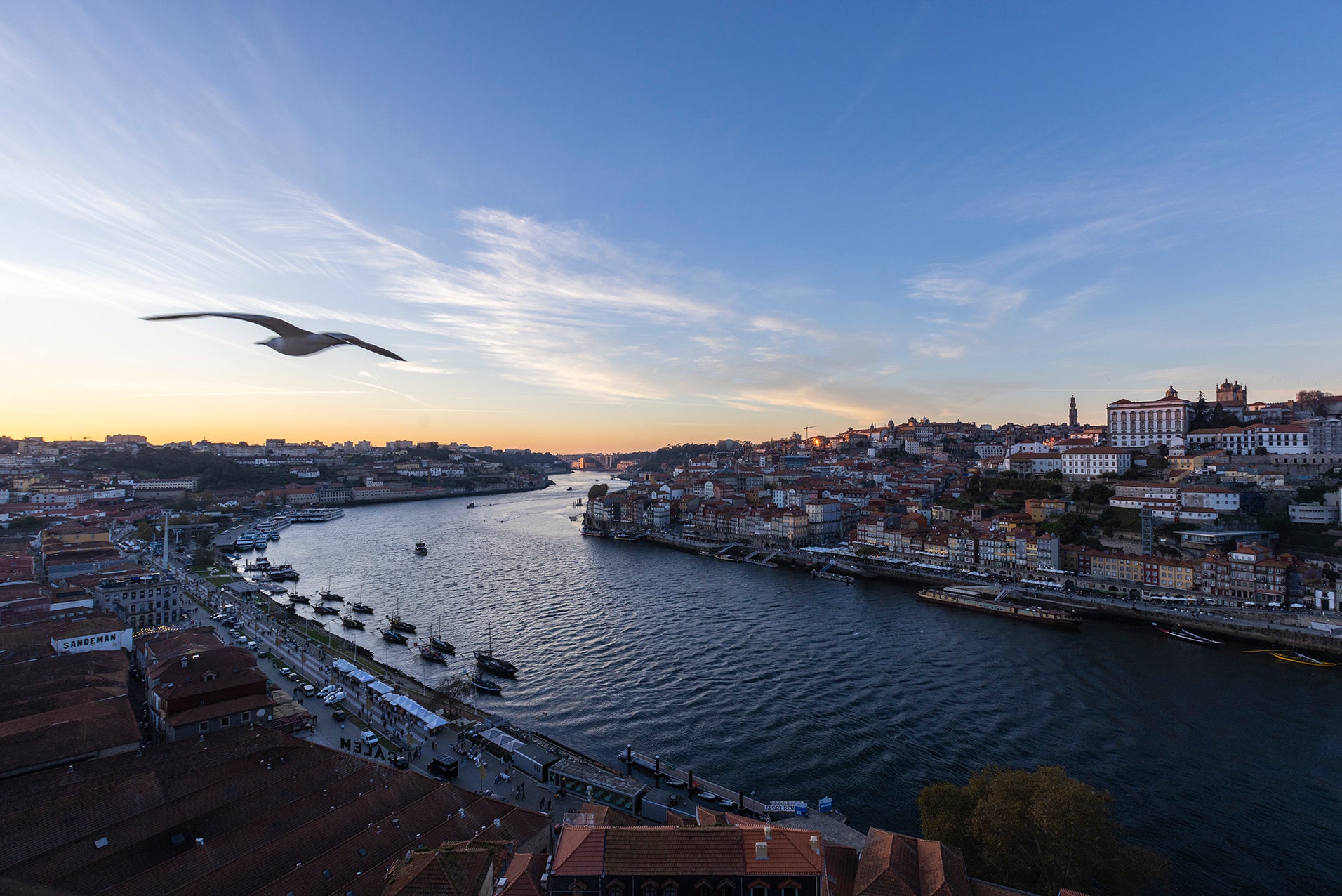 Flight on the Douro - Porto River Travel Print