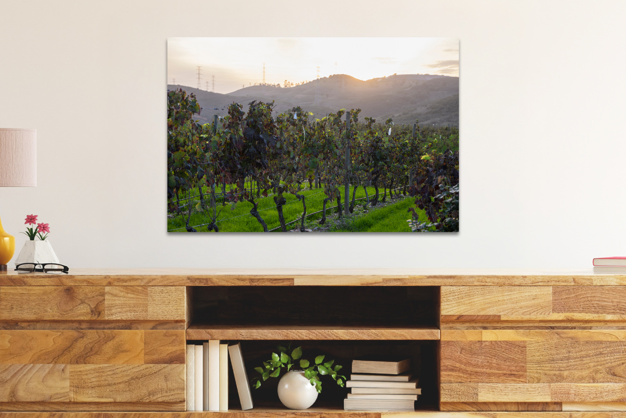 Algrave Vineyard - Portugal Winery Print