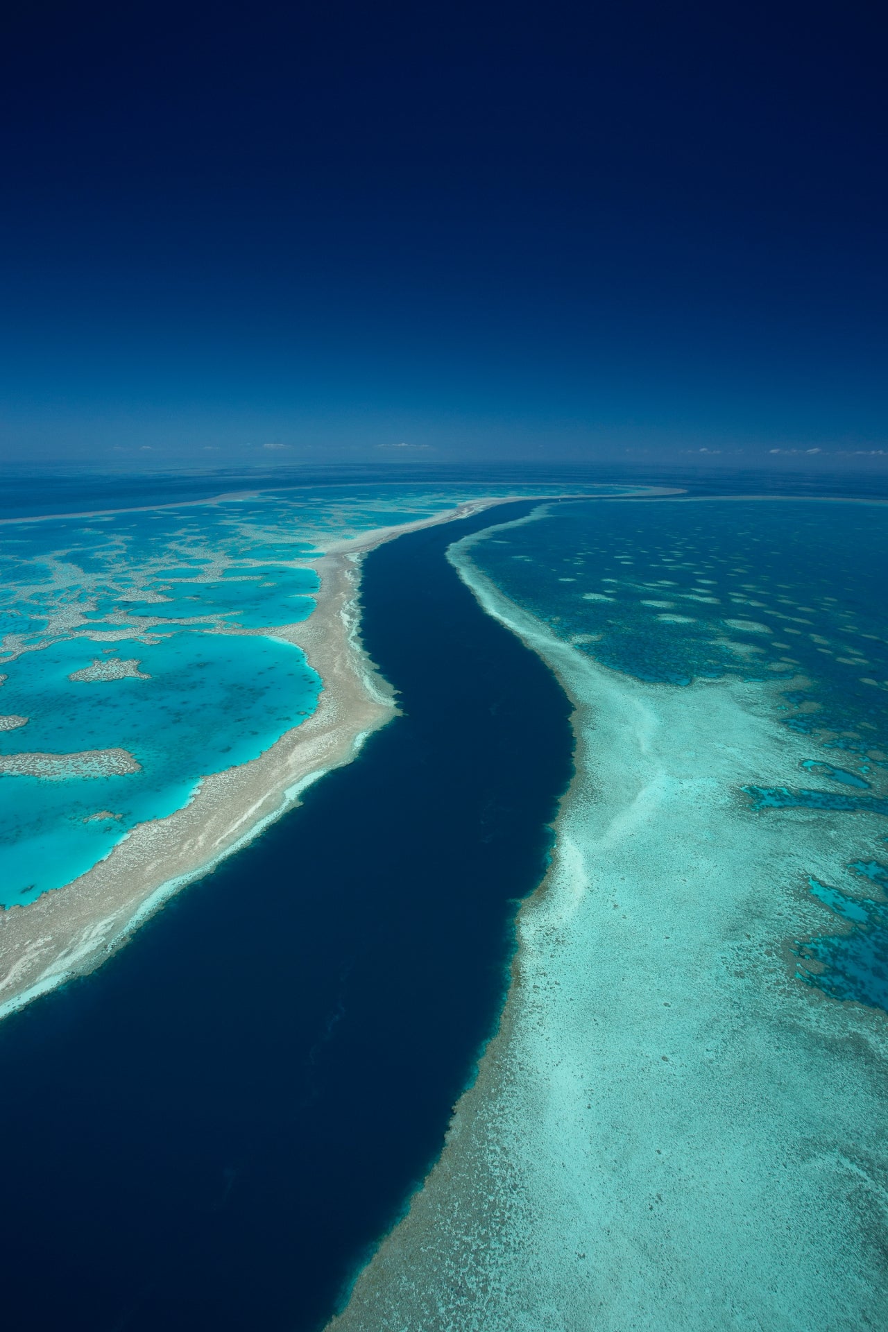 Photo Mount Small - Blue Ribbon – Above & Below Gallery