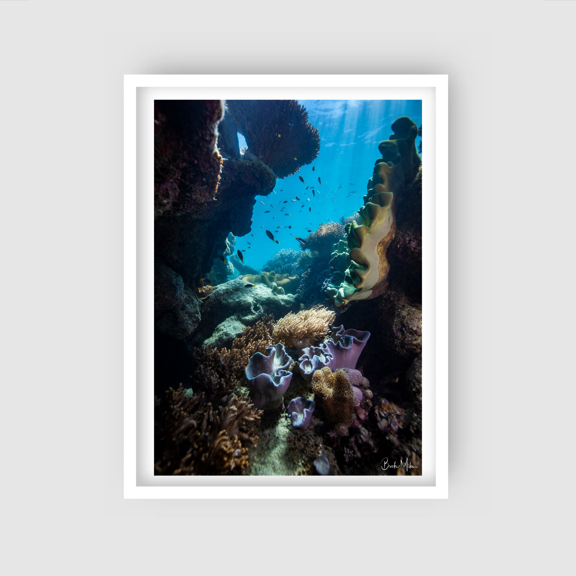 Butterfly Lane - Underwater Reef Print