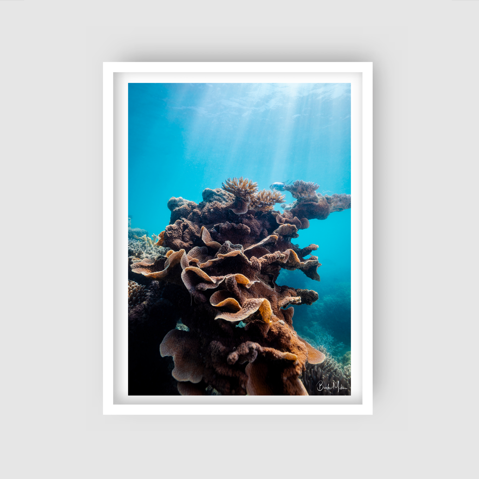 Butterfly Tower - Underwater Reef Print