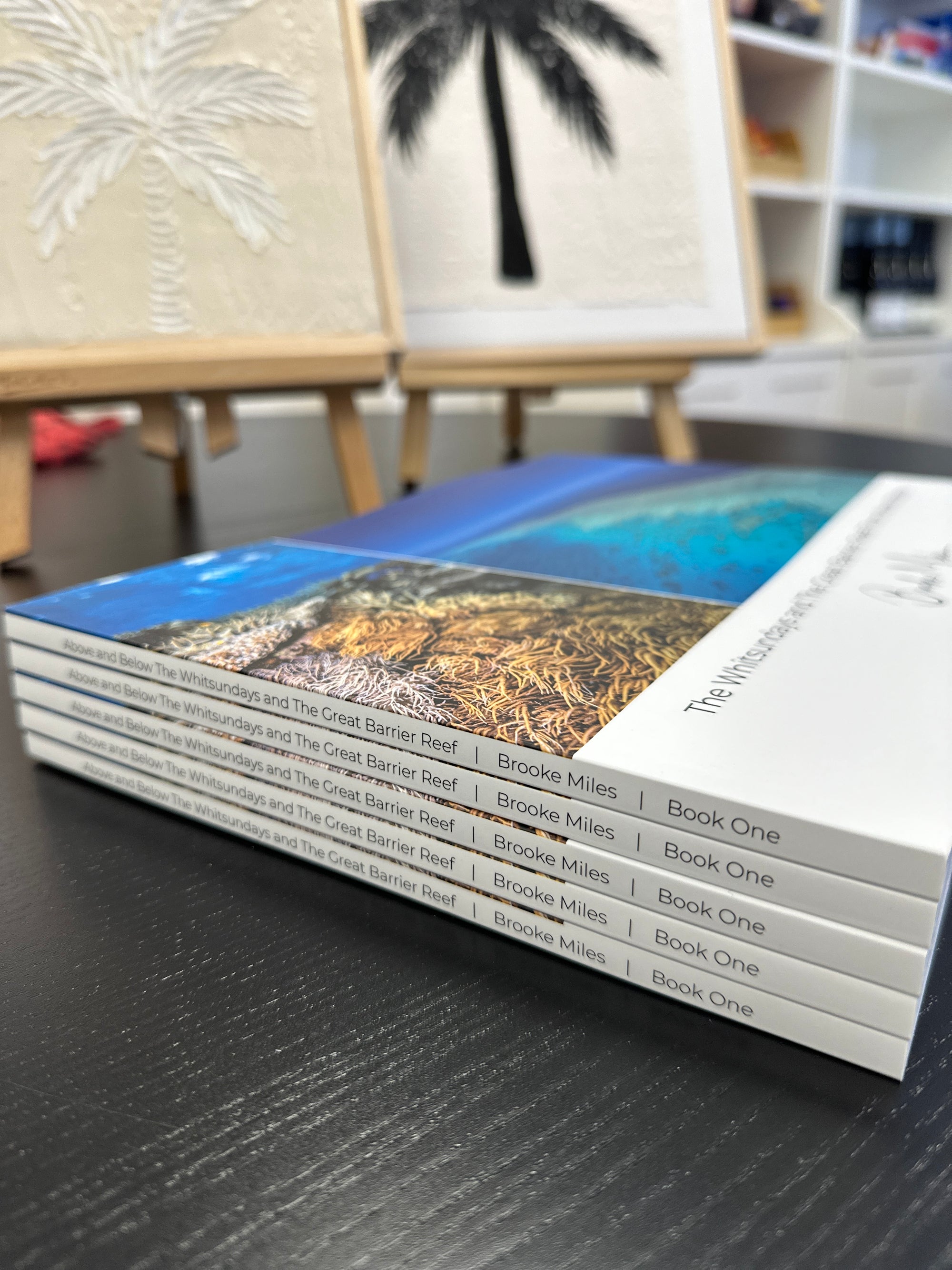The Whitsundays and The Great Barrier Reef From Above and Below - Coffee Table Book