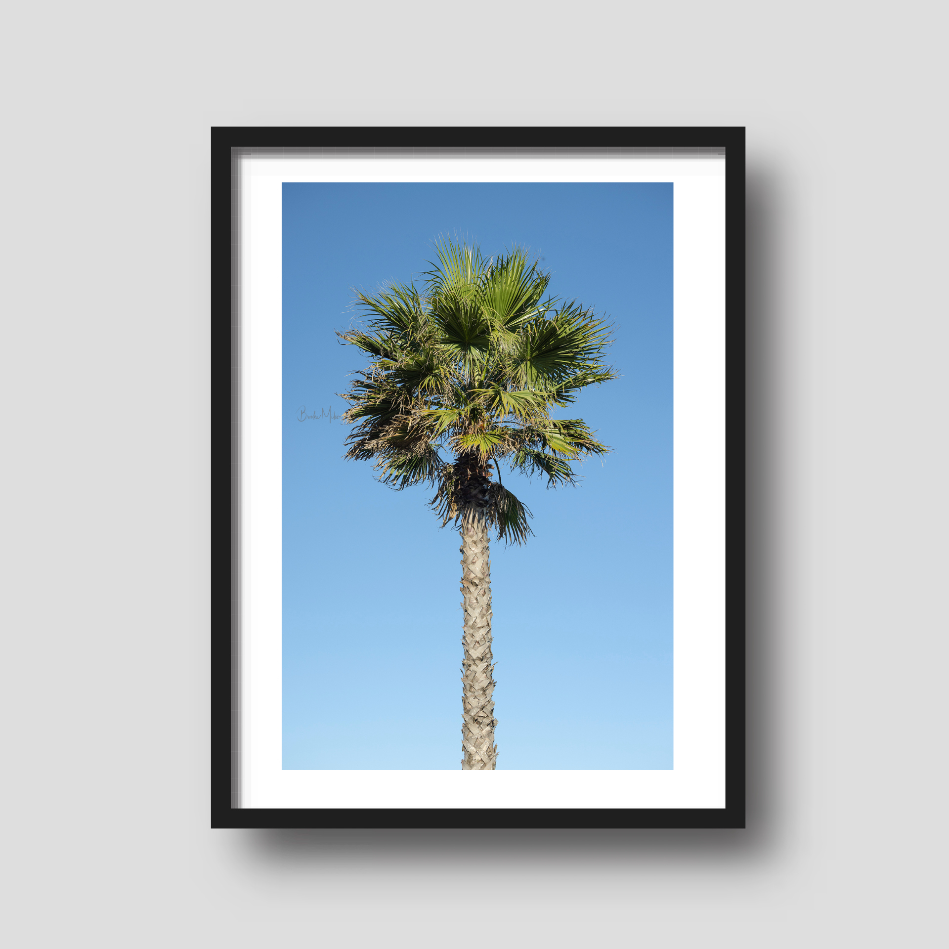 Costa Palm - Portugal Palm Tree Travel Print