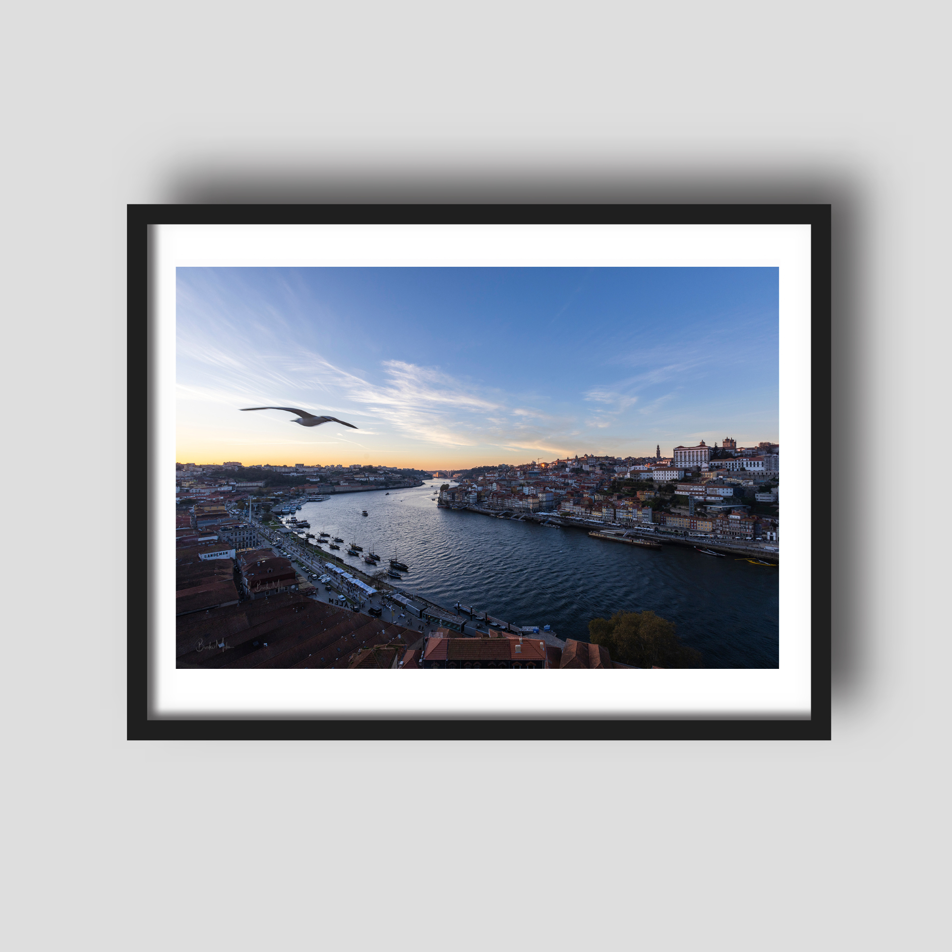 Flight on the Douro - Porto River Travel Print