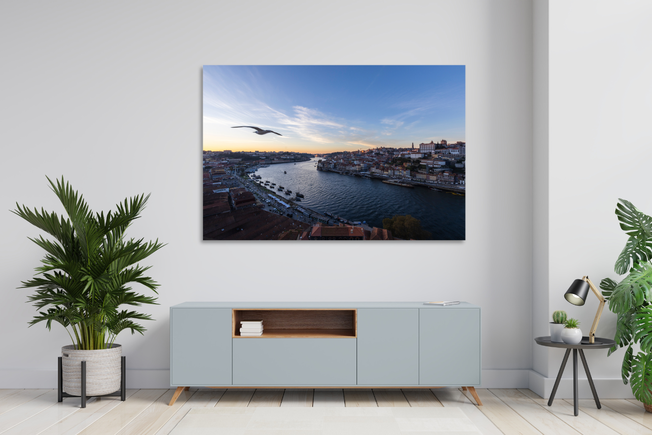 Flight on the Douro - Porto River Travel Print