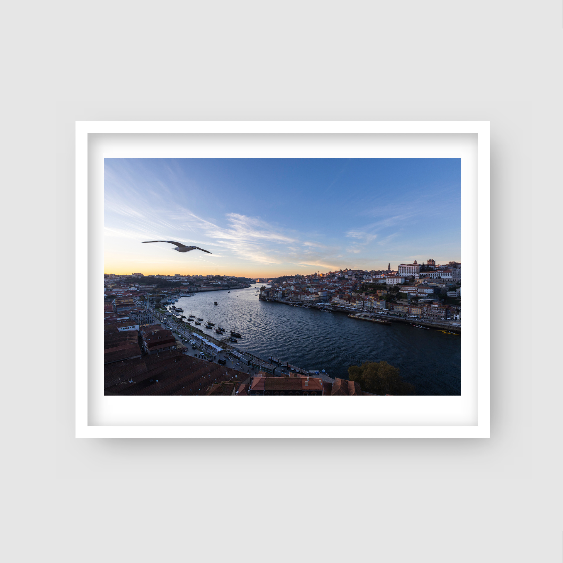 Flight on the Douro | Portugal Travel Photography Print – Above & Below ...