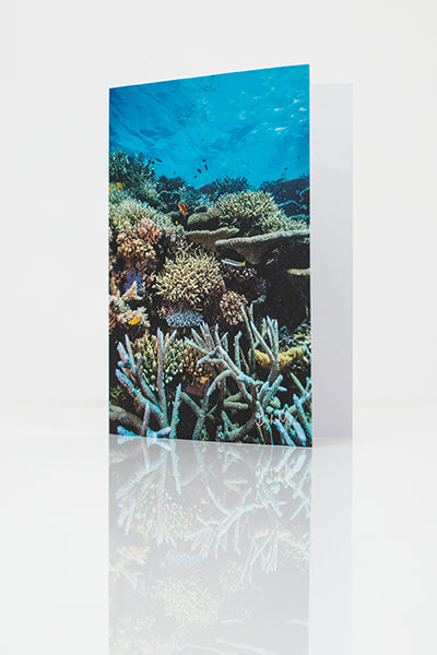 Greeting Card - Lower Levels