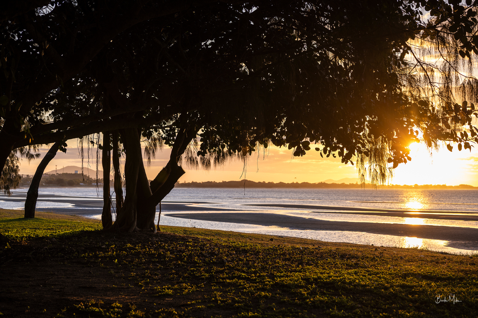A scenic landscape photograph of a beach at sunset, featuring silhouetted trees with hanging vines in the foreground, a sandy shoreline, and the sun low over the water reflecting a warm golden glow.