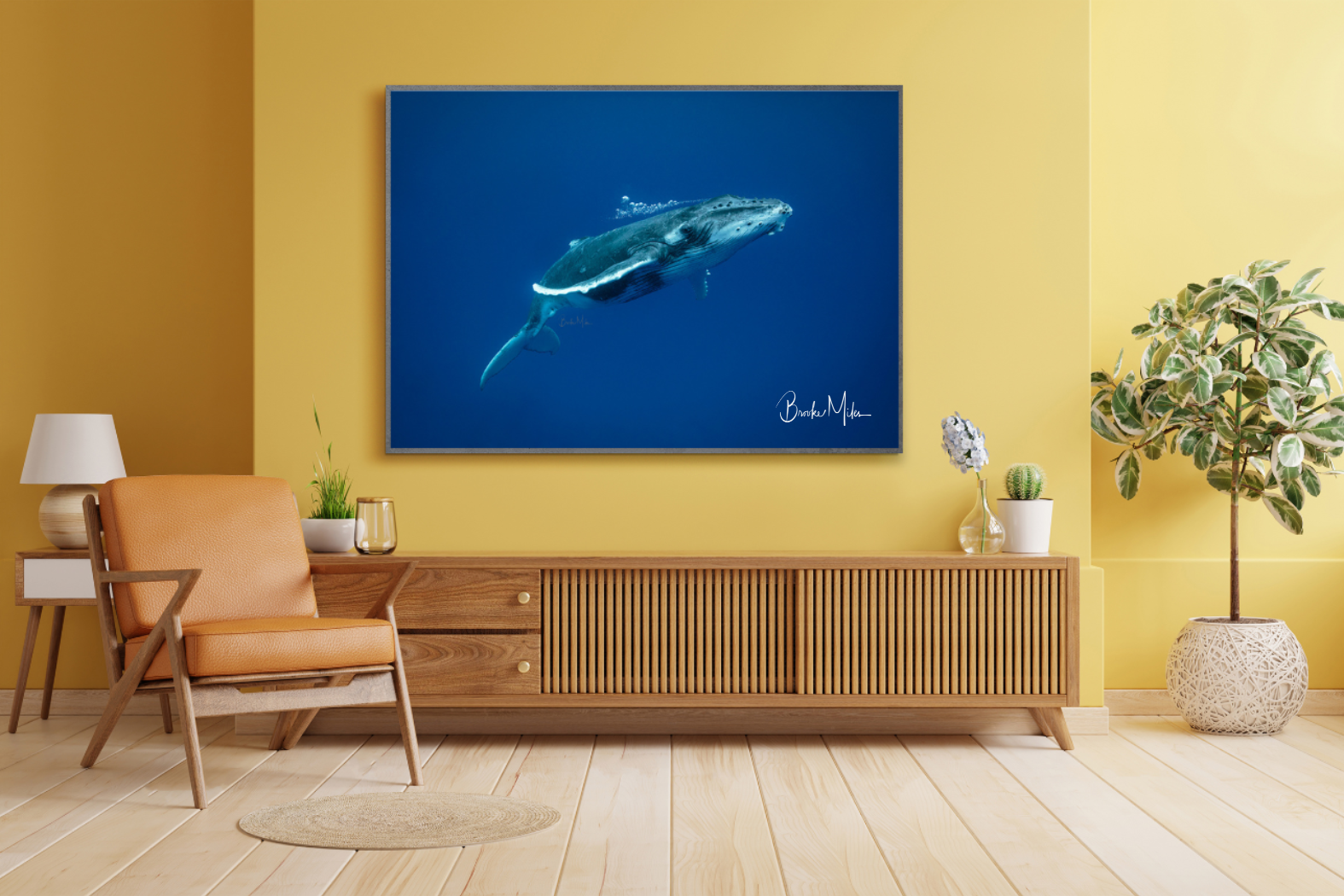 Baby Breath - Humpback Whale Print