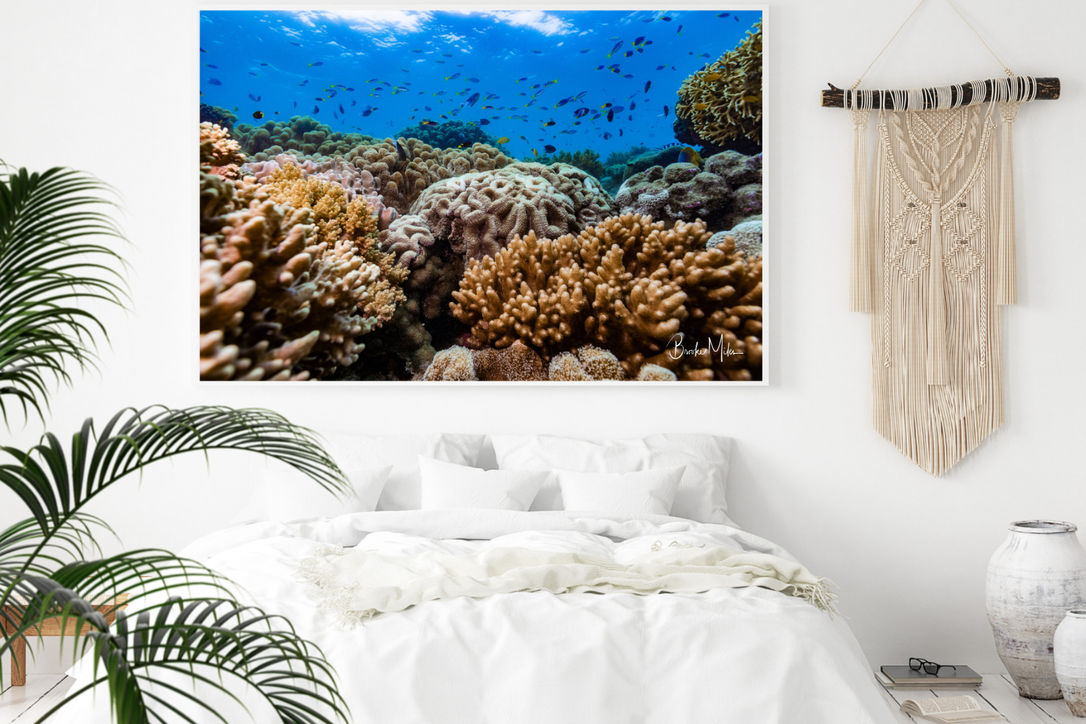 Hazel's Garden | Great Barrier Reef Photographic Print by Brooke Miles ...