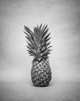 B&W Pineapple