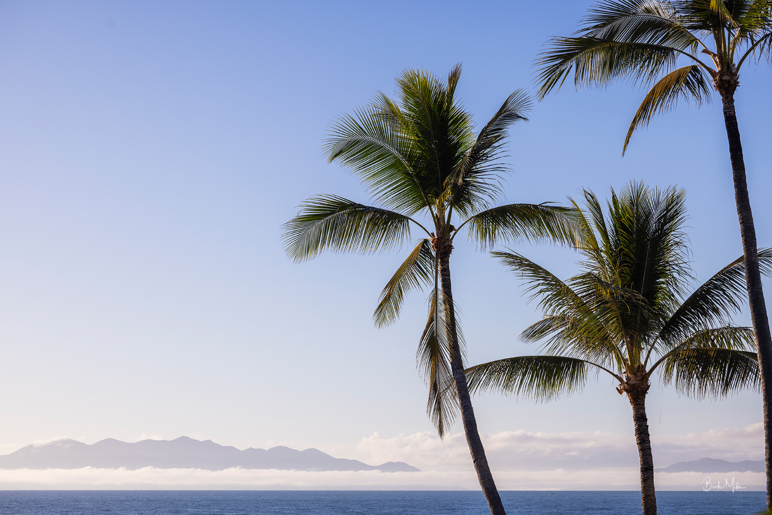 Tropical beach scene with tall palm trees silhouetted against a clear blue sky, with ocean water and distant mountains on the horizon.