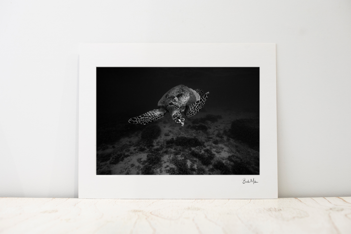 Photo Mount - Mono Mosaic