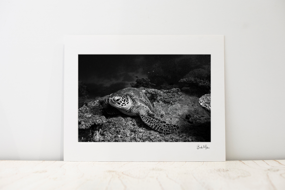 Photo Mount - Nomads Rest