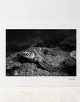 Photo Mount - Nomads Rest