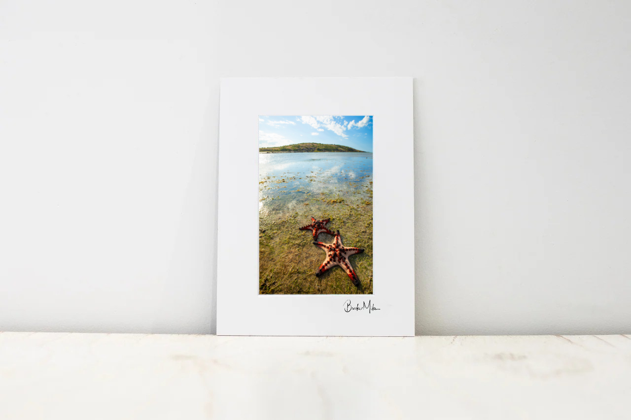 A vertical photographic art print with a wide white border, leaning against a white wall on a light marble surface. The print depicts a coastal scene with shallow blue water, distant land, and two red starfish in the foreground.