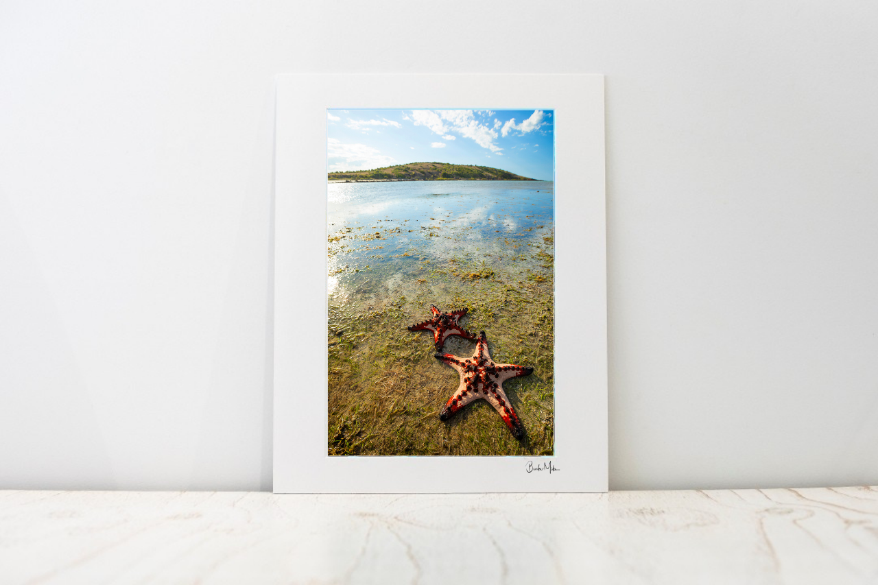 A large photo mount with a wide white border, leaning against a white wall on a light marble surface. The print depicts a coastal scene with shallow blue water, distant land, and two red starfish in the foreground.