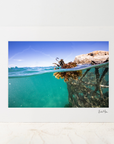 Photo Mount - 'Sculpture Life'