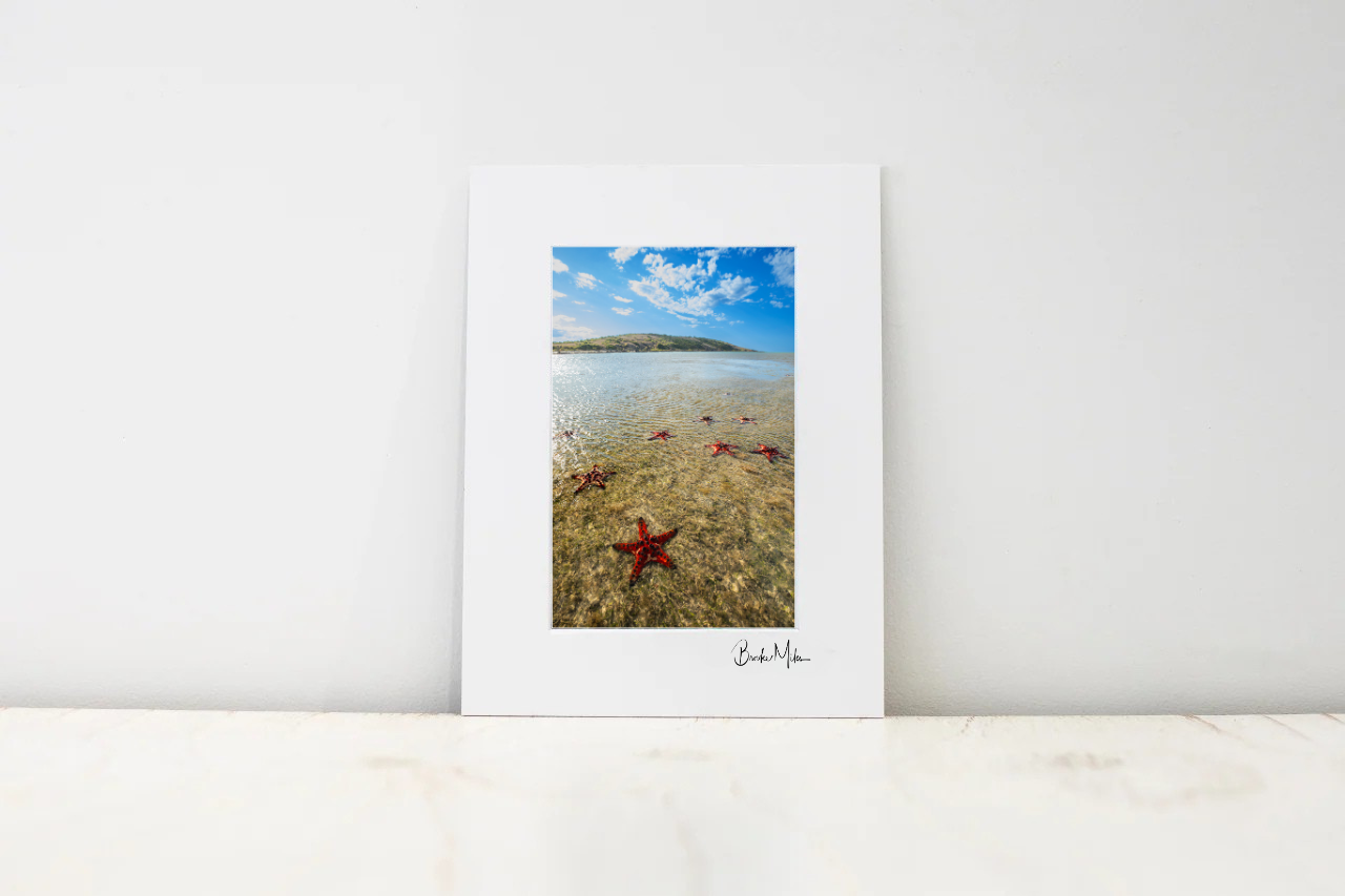 A vertical white art print with a white mat border, featuring a photograph of a beach scene with a blue sky, shallow water, and red starfish, leaning against a white wall on a light marble surface.