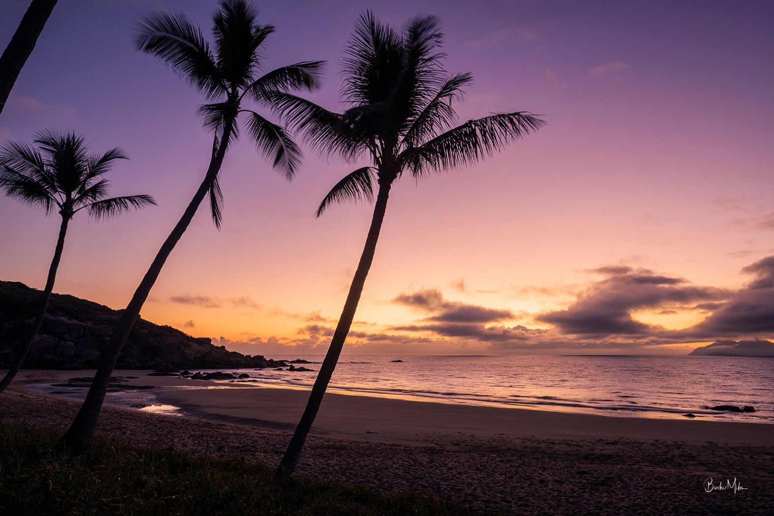 A scenic sunset beach landscape with silhouetted palm trees, dark rocky shoreline, calm ocean water, and a purple-pink-orange sky with clouds.