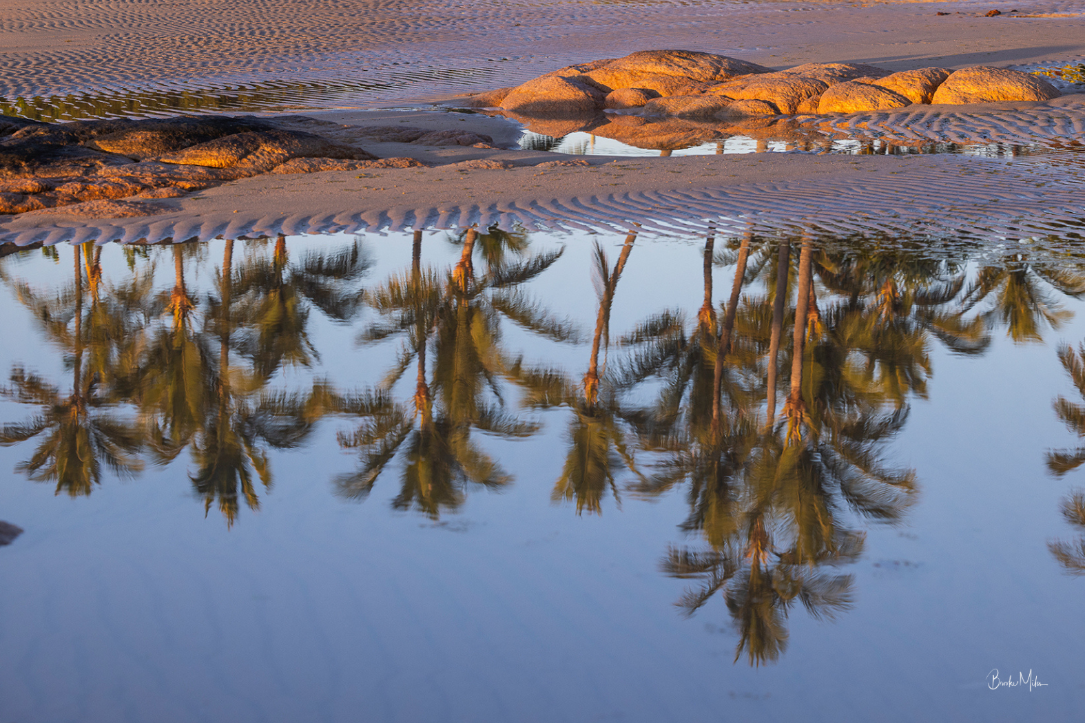 A scenic landscape photograph of desert sand dunes with rippled textures and palm tree reflections in a calm pool of water under warm golden-hour light.