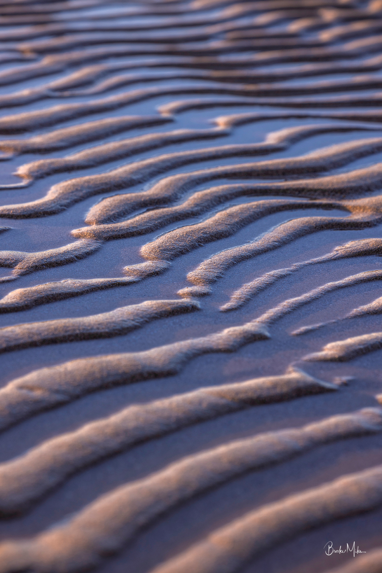 A close-up photograph of rippled wet sand with warm golden highlights and cool blue shadows, filling the frame. A small artist signature watermark appears in the bottom right corner.