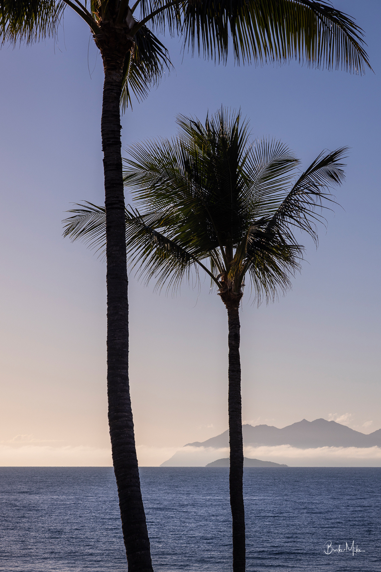 A scenic photograph of two tall palm trees silhouetted against a calm blue ocean and a soft blue sky, with distant mountains faintly visible on the horizon.