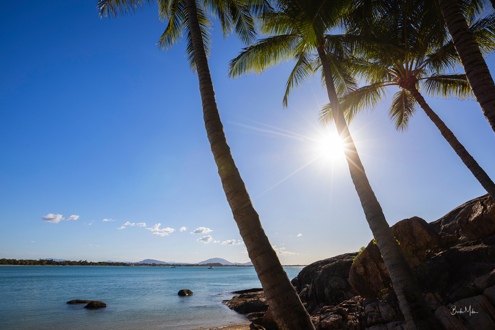 A scenic tropical beach landscape with tall palm trees framing a bright sun over blue water and rocky shoreline.