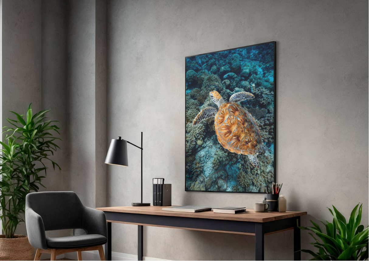 Modern office space with a turtle painting on the wall