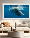 Framed photograph of a whale underwater in a living room setting.
